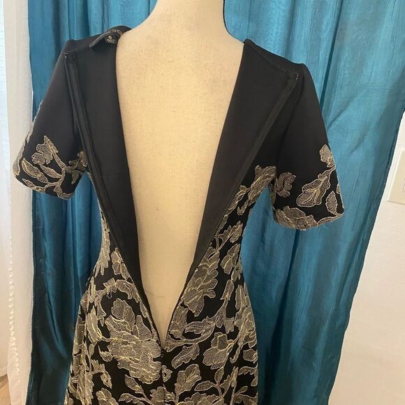 Tadashi Shoji lace dress, size 6 - Picture 3 of 10